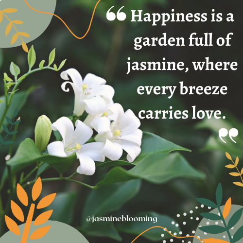 jasmine flower quotes