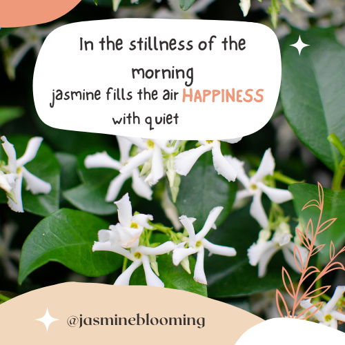 jasmine flower quotes