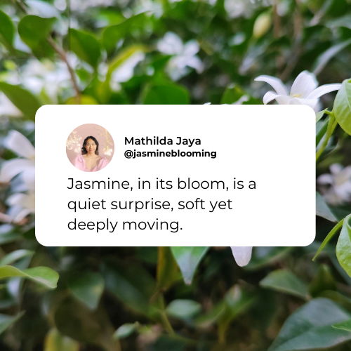 jasmine flower quotes