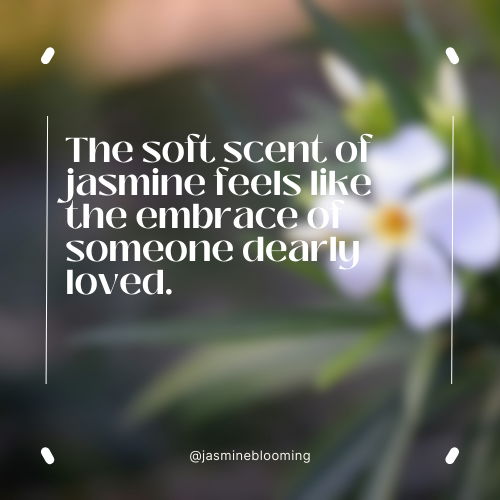 jasmine flower quotes