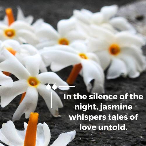 jasmine flower quotes