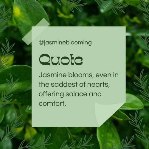 jasmine flower quotes