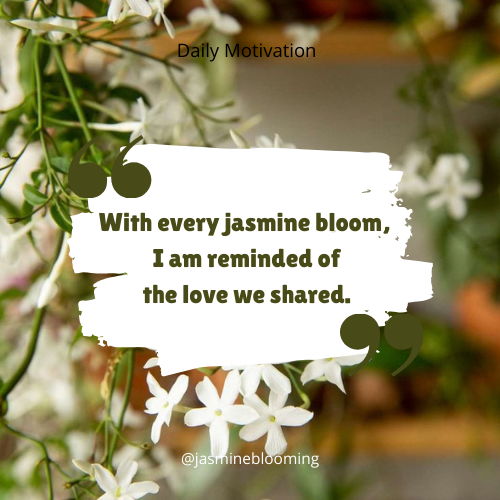 jasmine flower quotes