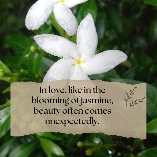 jasmine flower quotes