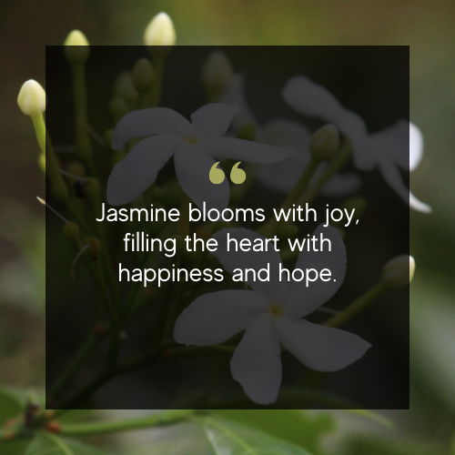 jasmine flower quotes