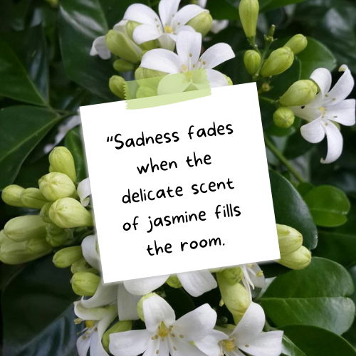 jasmine flower quotes