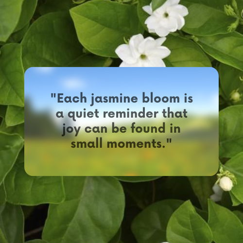 jasmine flower quotes