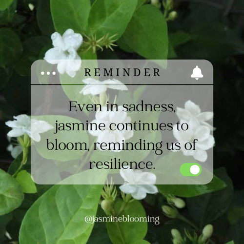 jasmine flower quotes