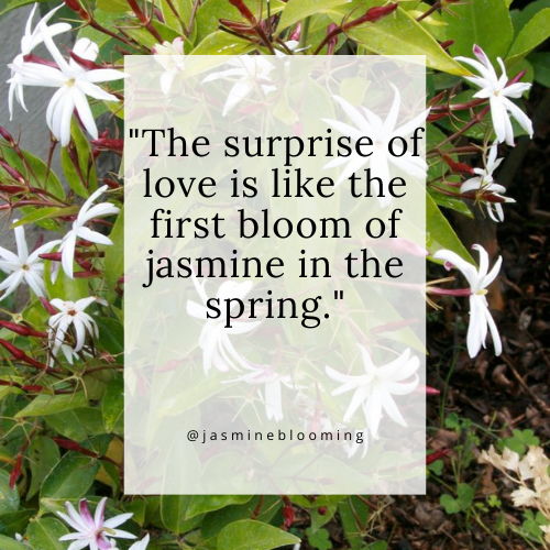 jasmine flower quotes