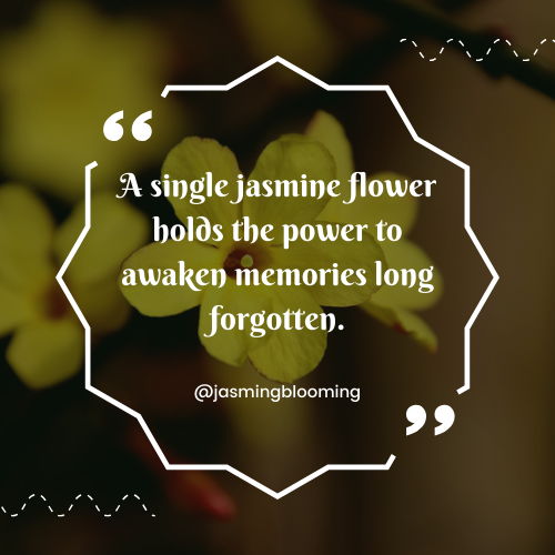 jasmine flower quotes