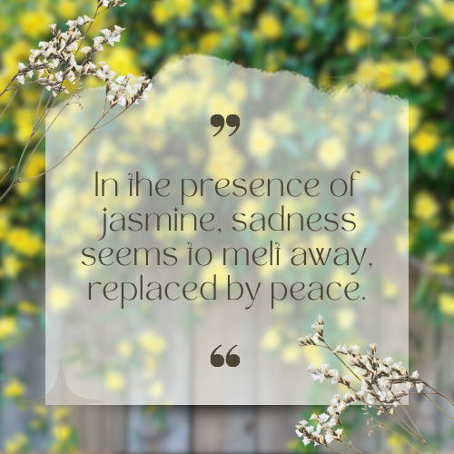 jasmine flower quotes