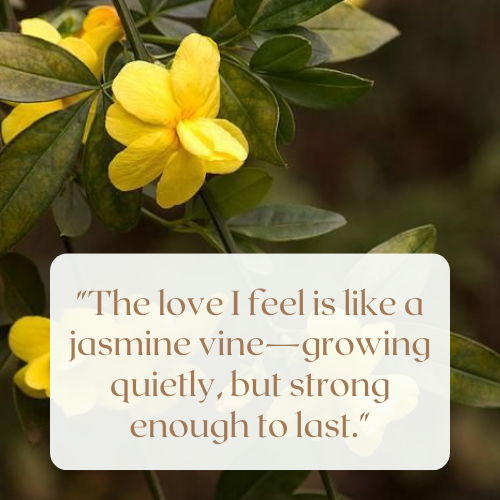 jasmine flower quotes