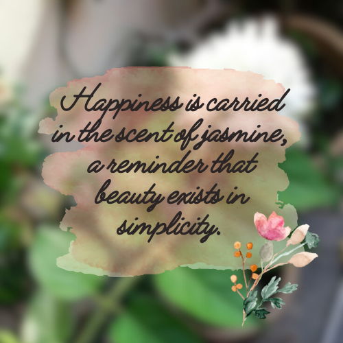 jasmine flower quotes