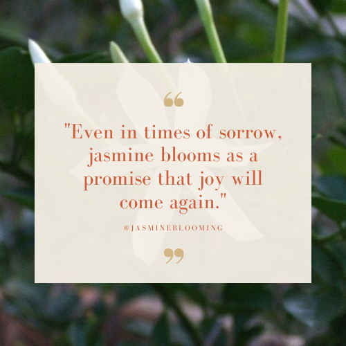 jasmine flower quotes