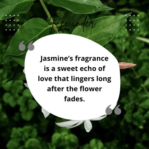 jasmine flower quotes