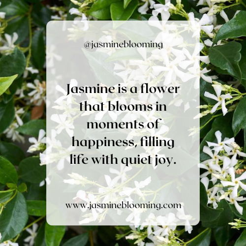 jasmine flower quotes