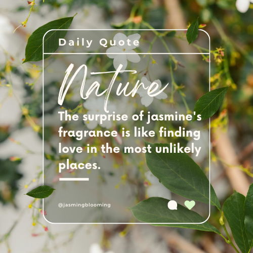 jasmine flower quotes