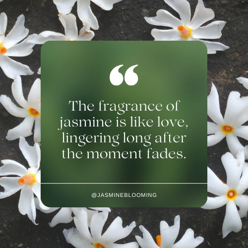 jasmine flower quotes