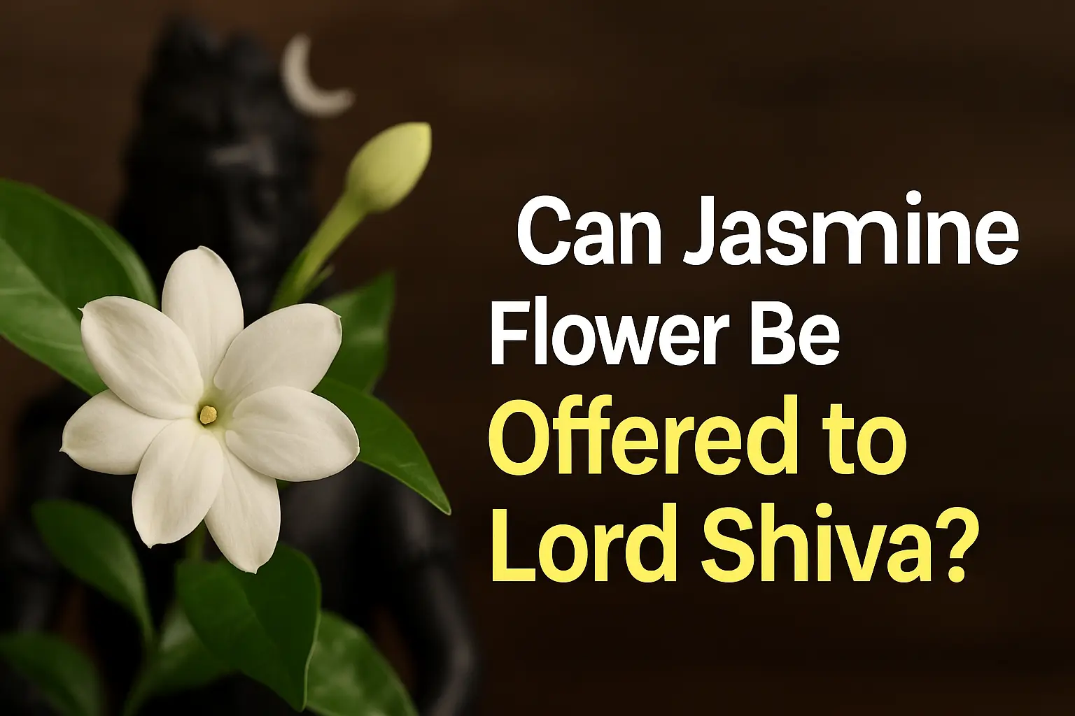 Can Jasmine Flower Be Offered To Lord Shiva