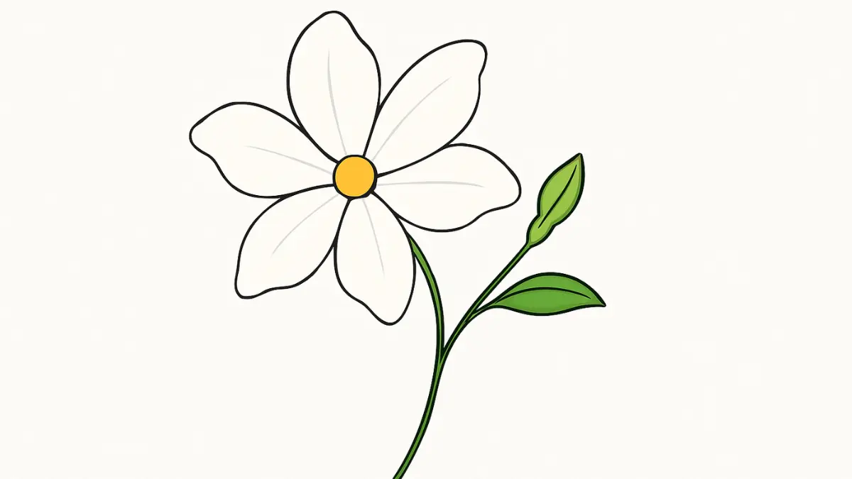 How To Draw Jasmine Flower