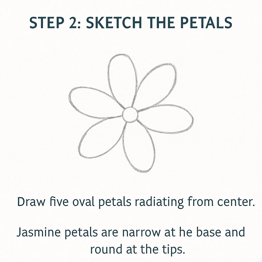 Sketch the Petals