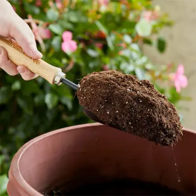 Let The Soil Dry Between Waterings